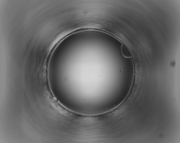 X0000112461044200908241254