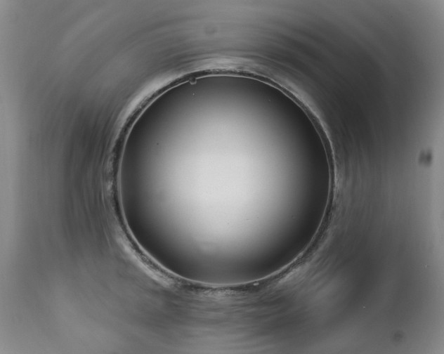 X0000112461045200908241254