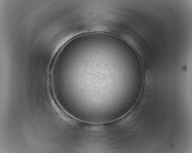 X0000112461047200908241254