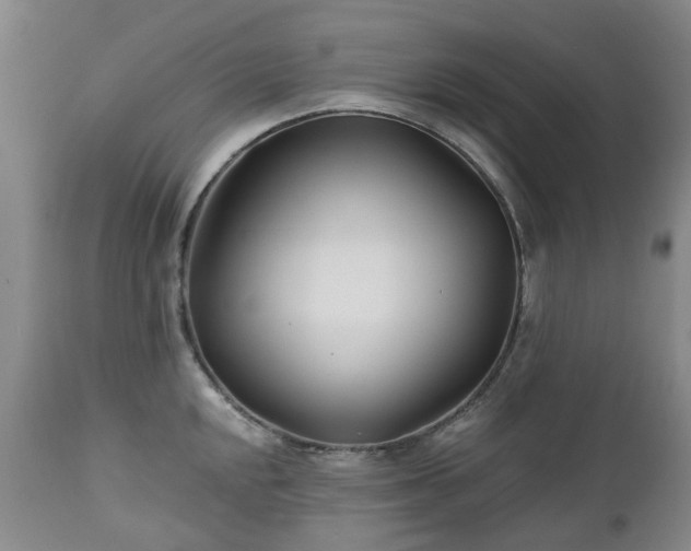 X0000112461048200908241254