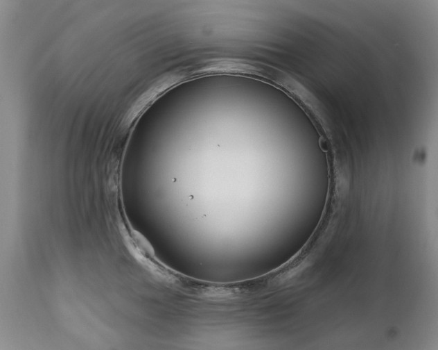 X0000112461049200908241254