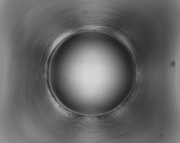 X0000112461050200908241254