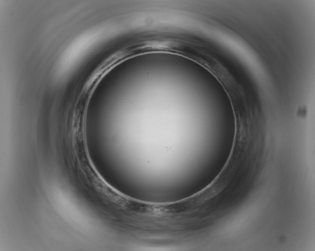 X0000112461052200908241254