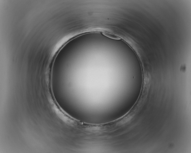 X0000112461054200908241254