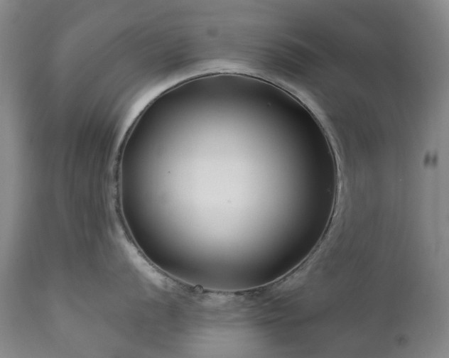 X0000112461056200908241254