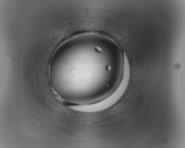 X0000112461057200908241253