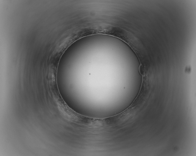 X0000112461058200908241253