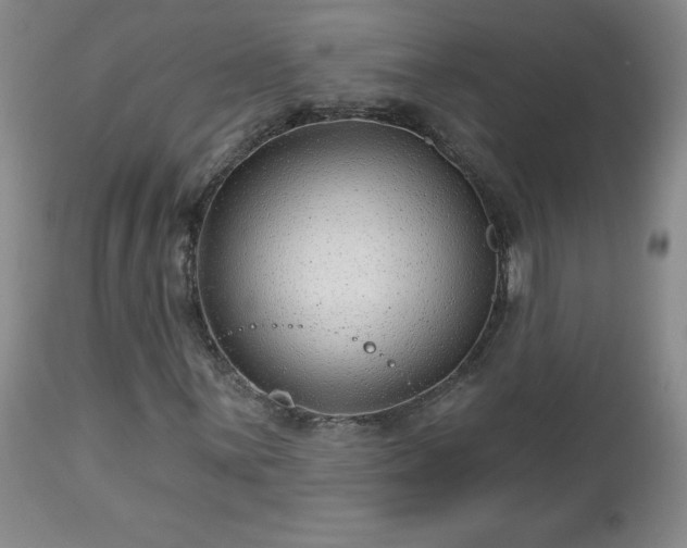 X0000112461059200908241253