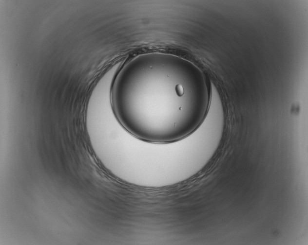 X0000112461060200908241253