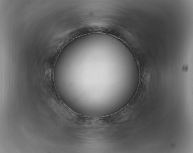 X0000112461061200908241253