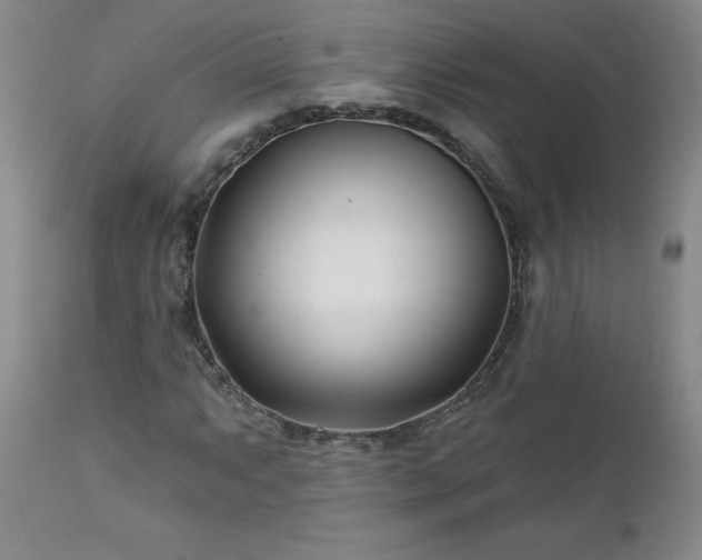 X0000112461063200908241253