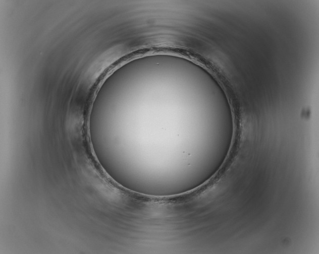 X0000112461065200908241253