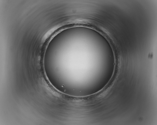 X0000112461066200908241253