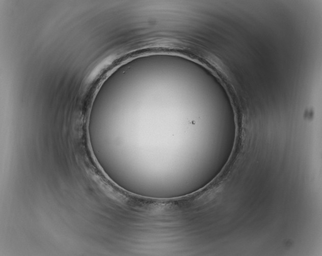 X0000112461067200908241253