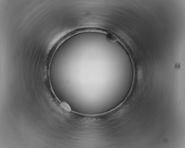 X0000112461069200908241253