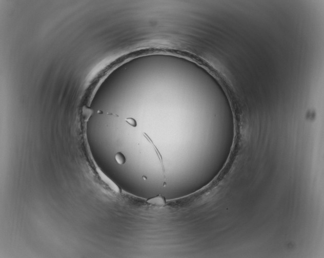 X0000112461070200908241253