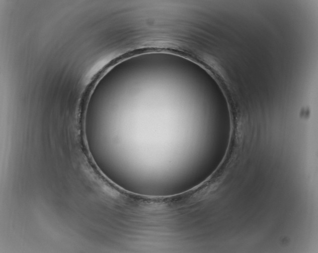 X0000112461071200908241253