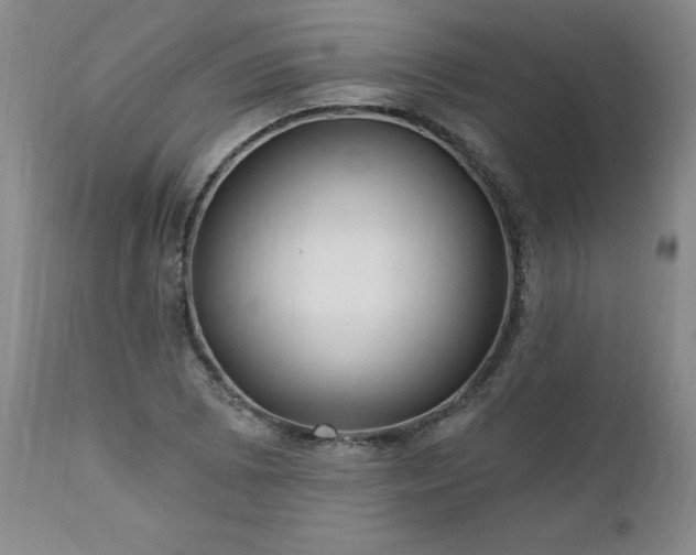 X0000112461073200908241253