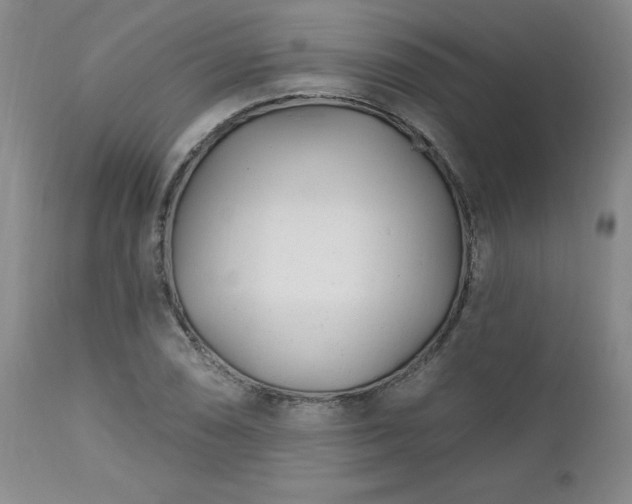 X0000112461074200908241253