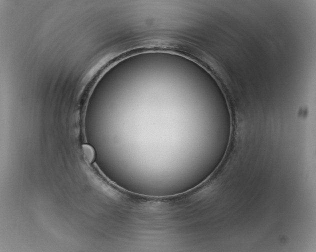 X0000112461075200908241253