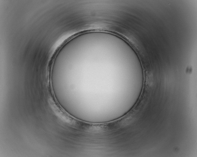 X0000112461078200908241253