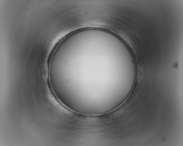 X0000112461080200908241253