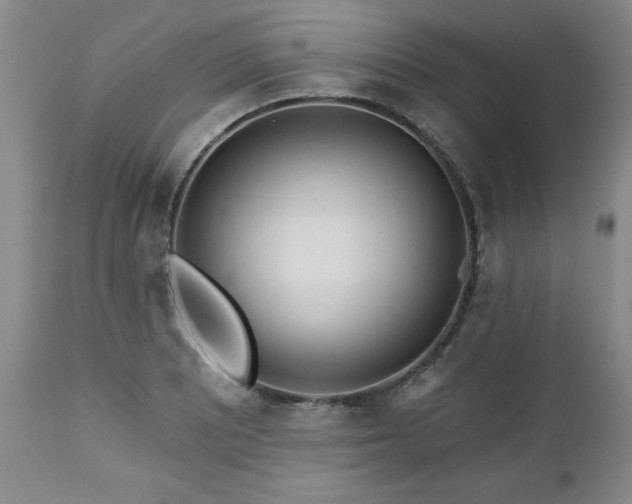 X0000112461081200908241253