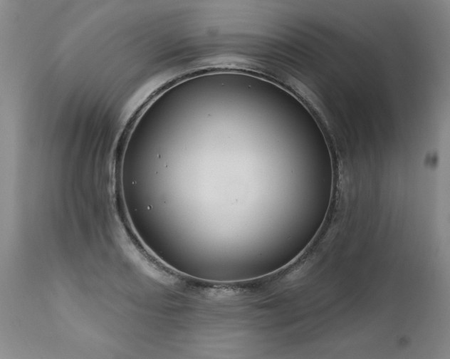 X0000112461082200908241253