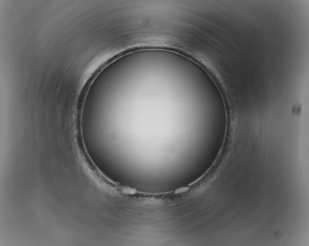 X0000112461085200908241253