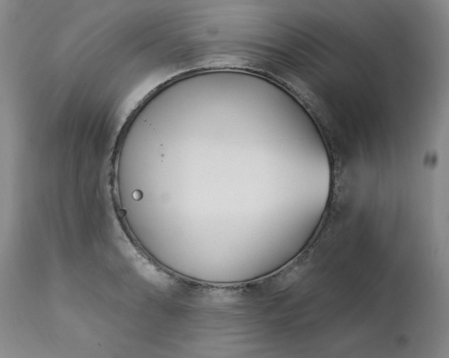 X0000112461086200908241253