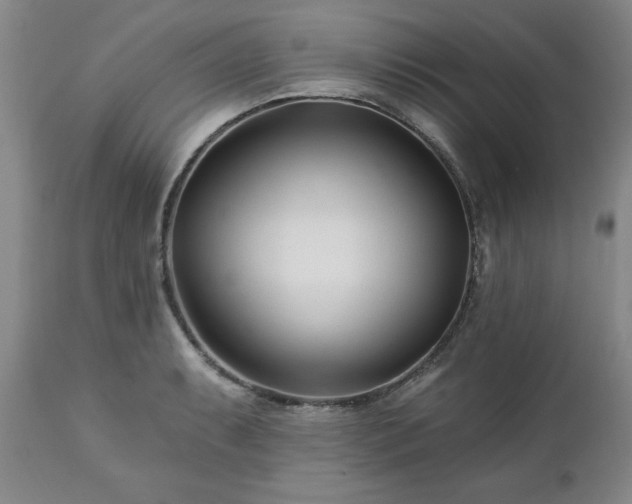 X0000112461087200908241253