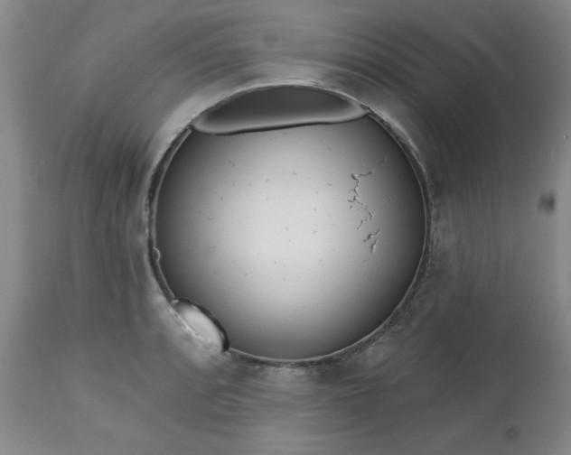 X0000112461088200908241253