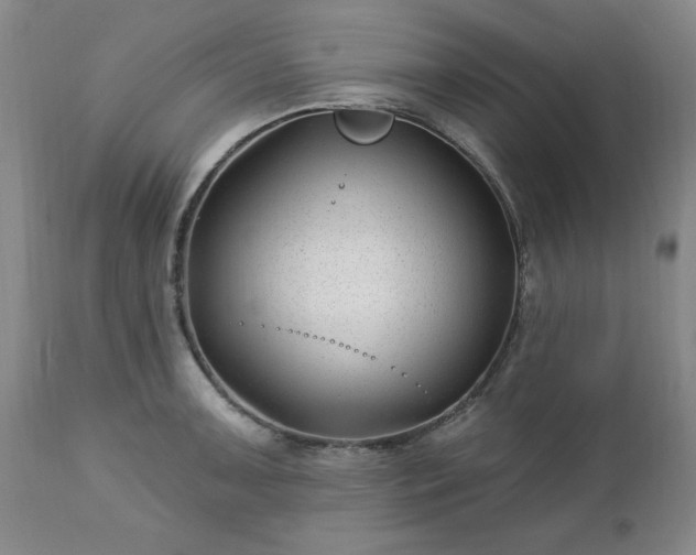 X0000112461091200908241253