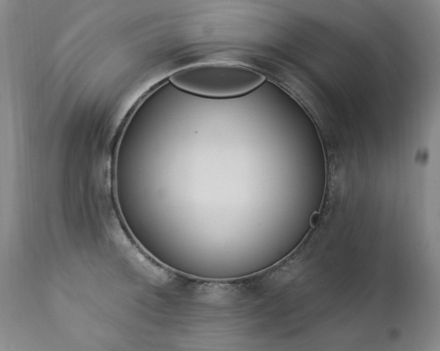 X0000112461092200908241253