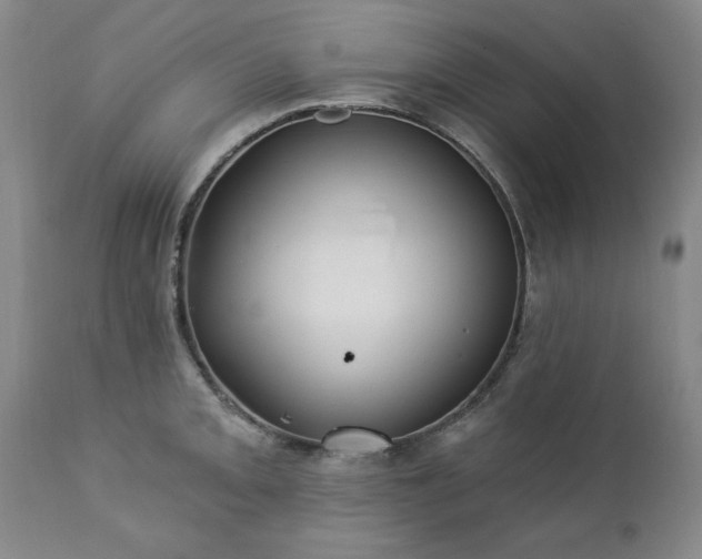 X0000112461093200908241253