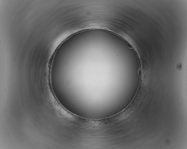 X0000112461096200908241253