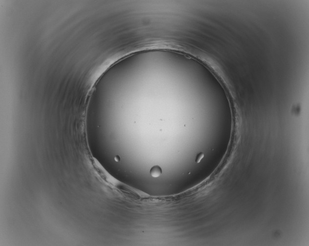 X0000112461097200908241253