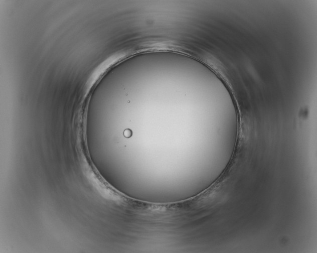 X0000112461098200908241253