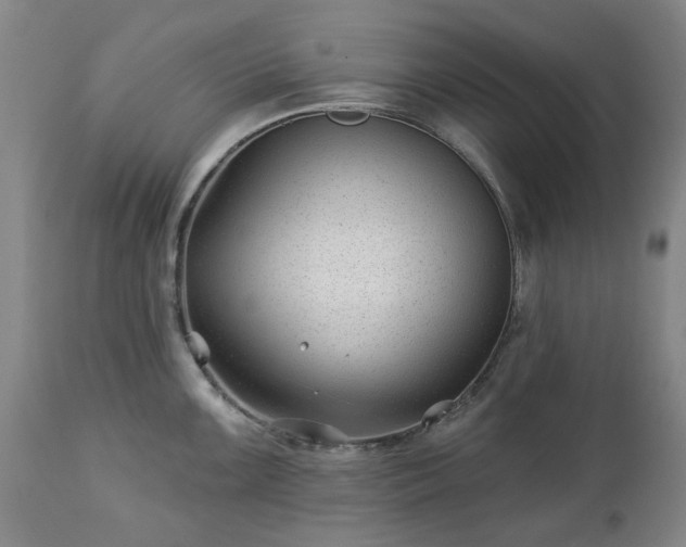 X0000112461099200908241253