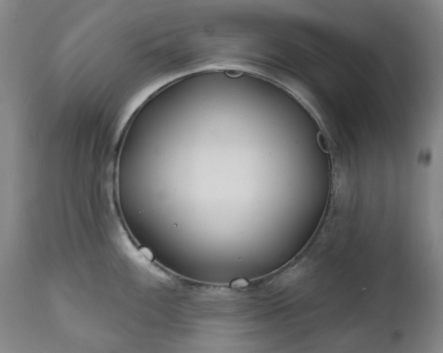 X0000112461100200908241253