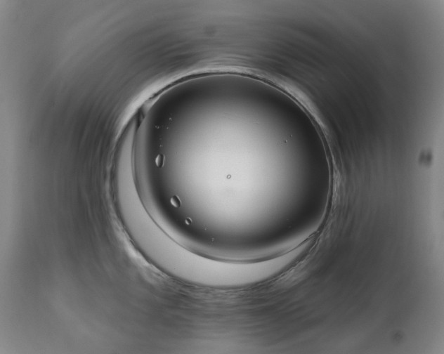 X0000112461101200908241253