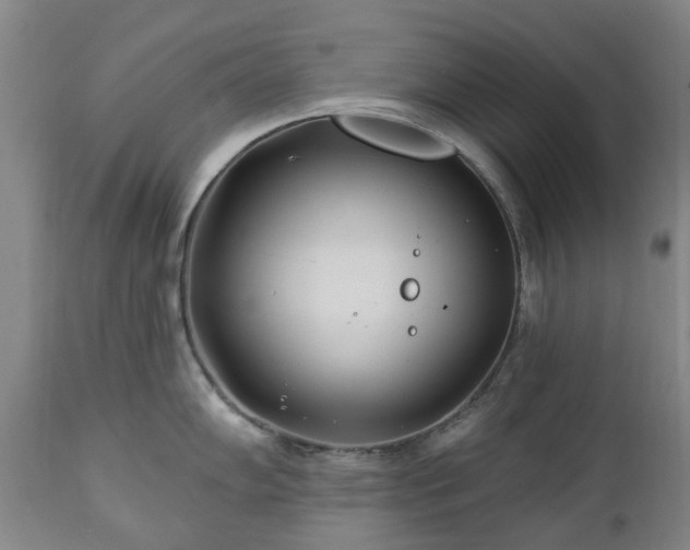 X0000112461102200908241253