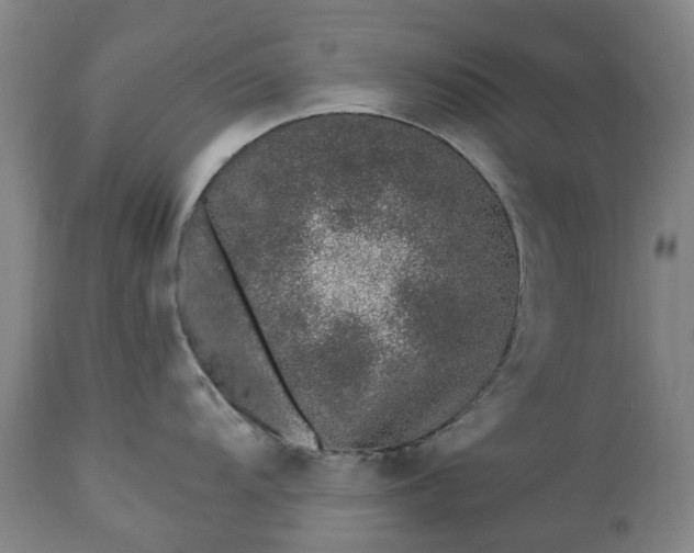 X0000112461104200908241253