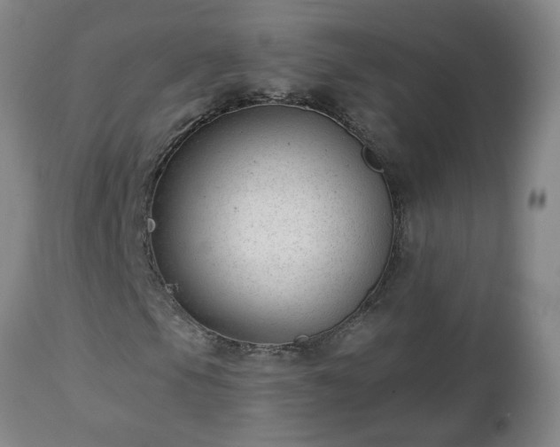 X0000112461105200908241252