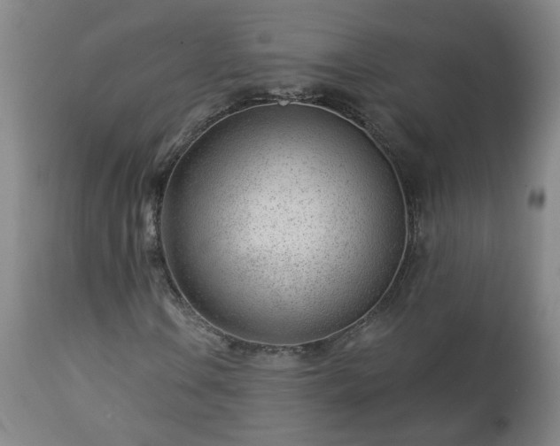 X0000112461106200908241252