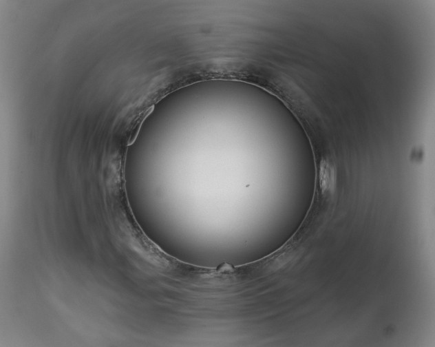 X0000112461107200908241252