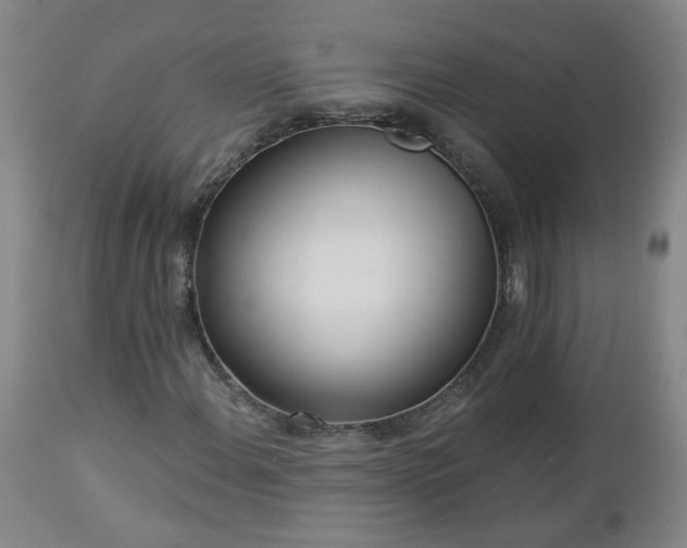 X0000112461108200908241252