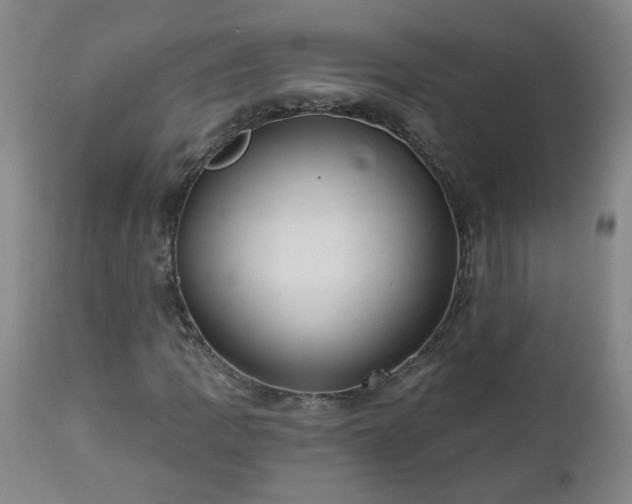 X0000112461109200908241252