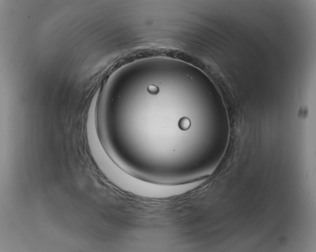 X0000112461110200908241252