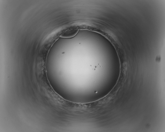 X0000112461111200908241252